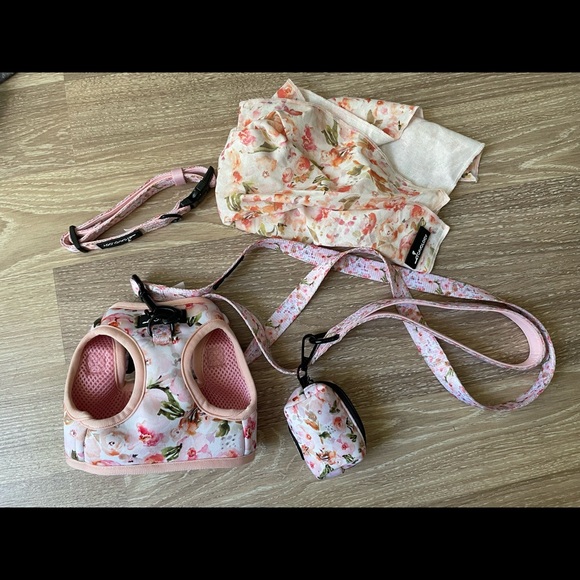 Cavology Dog bundle - Picture 4 of 5